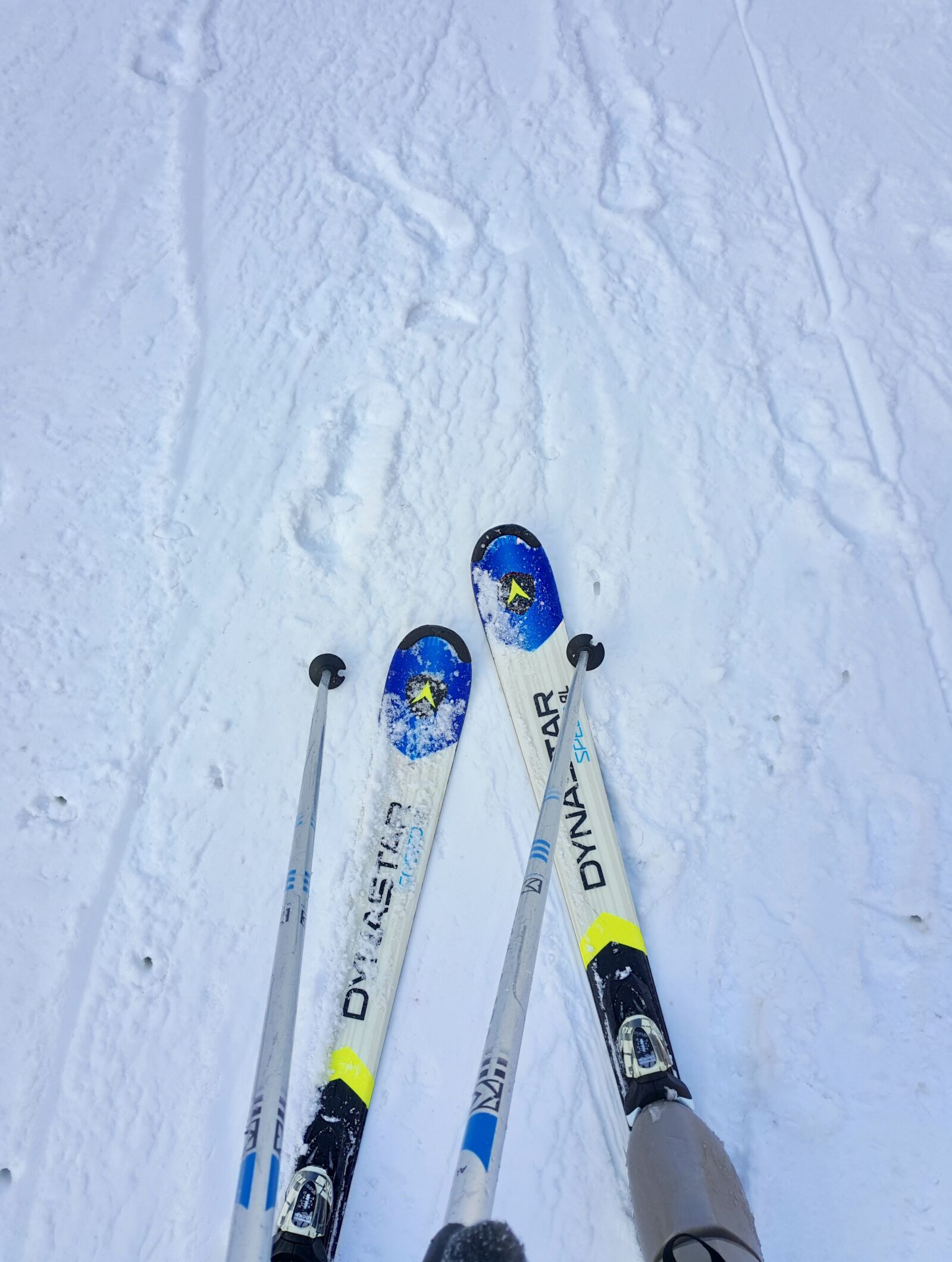 Meizu PRO 6 Plus sample photo. Skiing, snow, sports photography