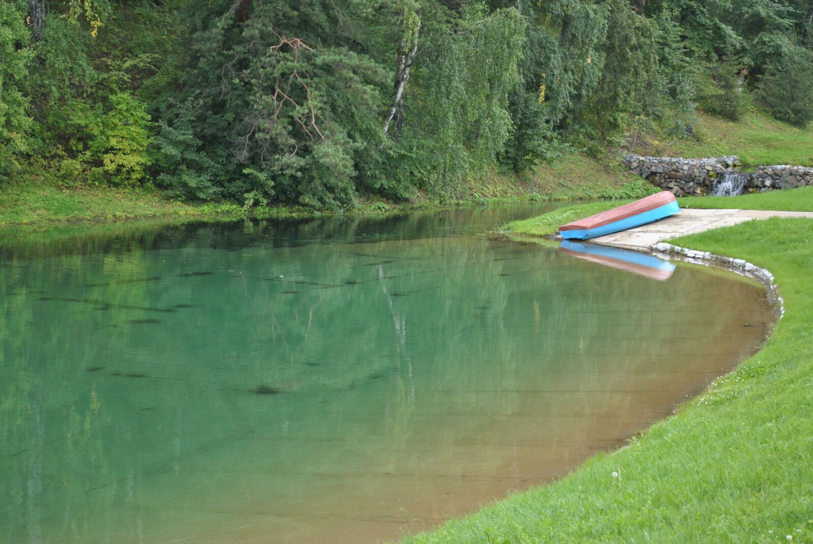 Nikon D3000 sample photo. Water, nature, tree photography
