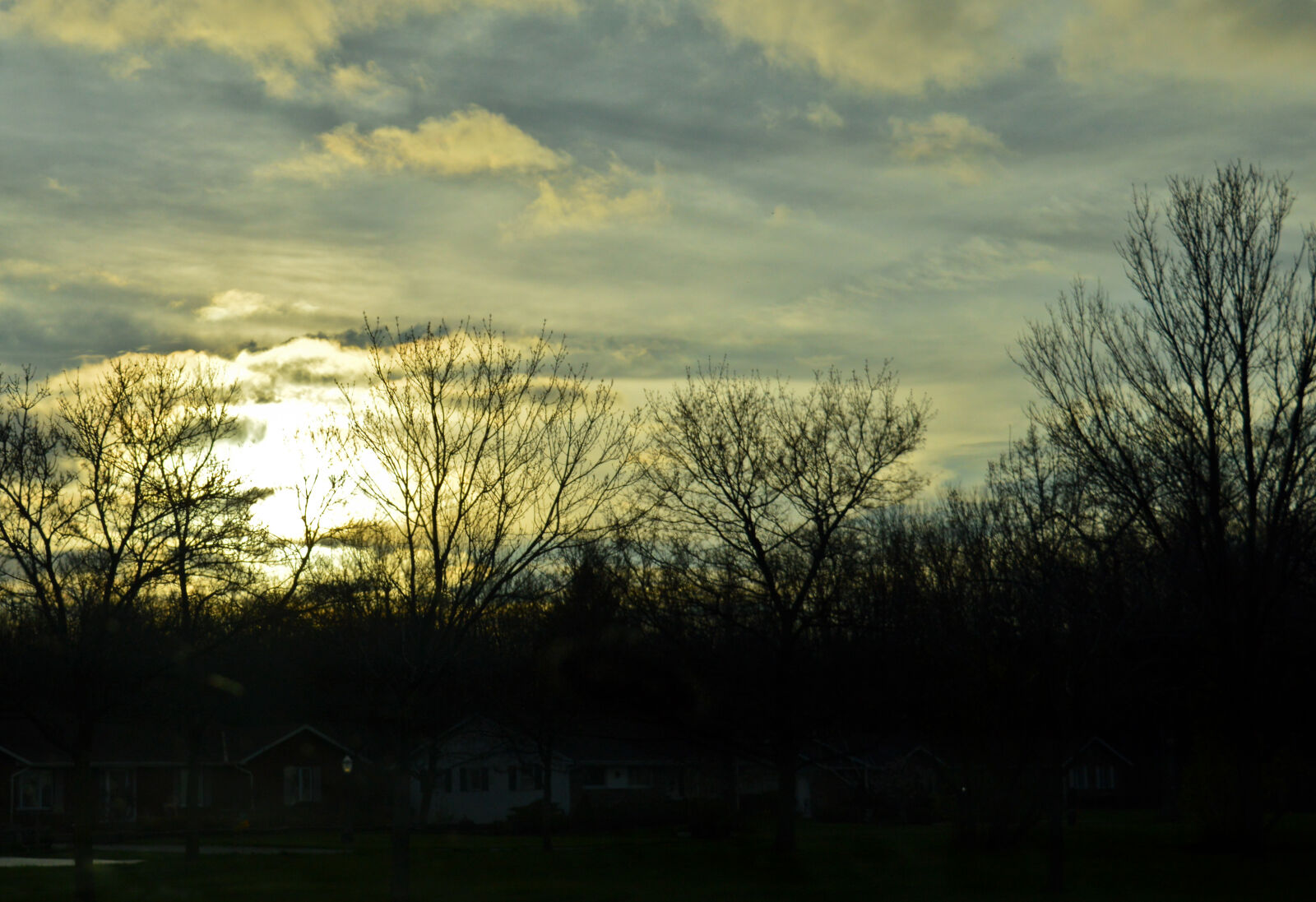 Nikon D3200 sample photo. Blue, sky, sunset, tree photography