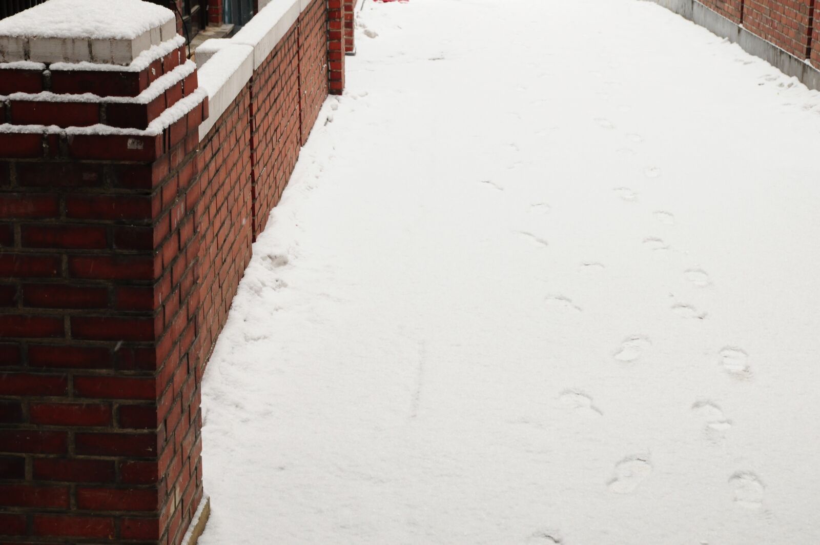 Nikon D90 sample photo. Snow, footprint, gil photography