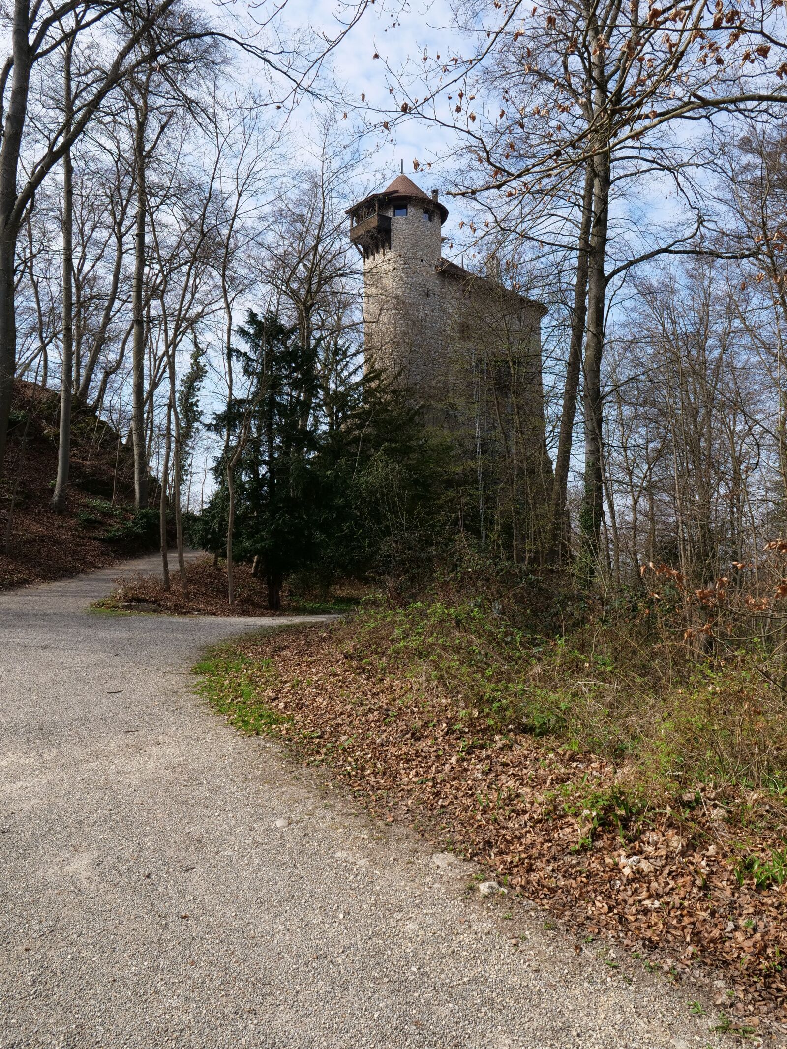 Panasonic Lumix DC-GH5 sample photo. Castle, guarantee, rule photography