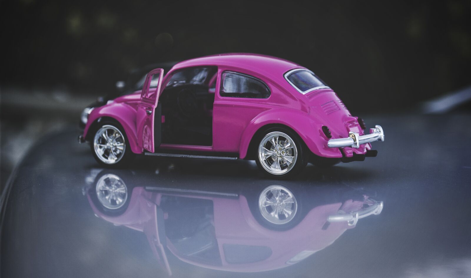 Samsung NX 18-55mm F3.5-5.6 OIS sample photo. Beetle, old, pink photography