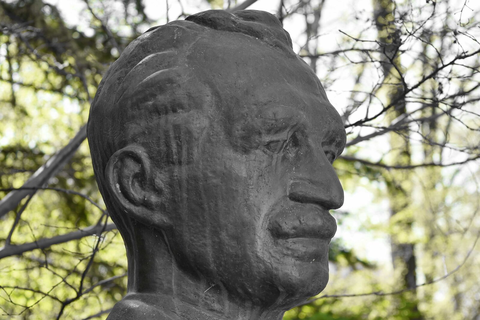 Nikon D5500 sample photo. Bronze, bust, statue, sculpture photography