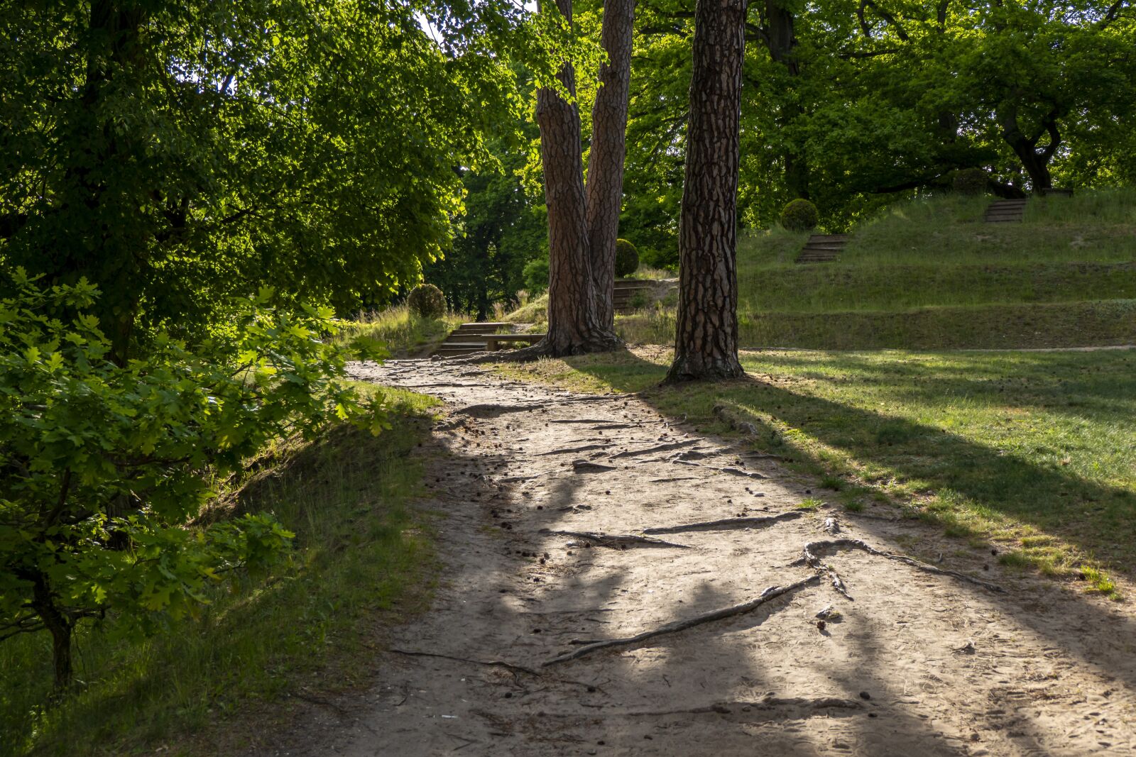 Panasonic Lumix DMC-FZ2500 (Lumix DMC-FZ2000) sample photo. Way, the path, park photography