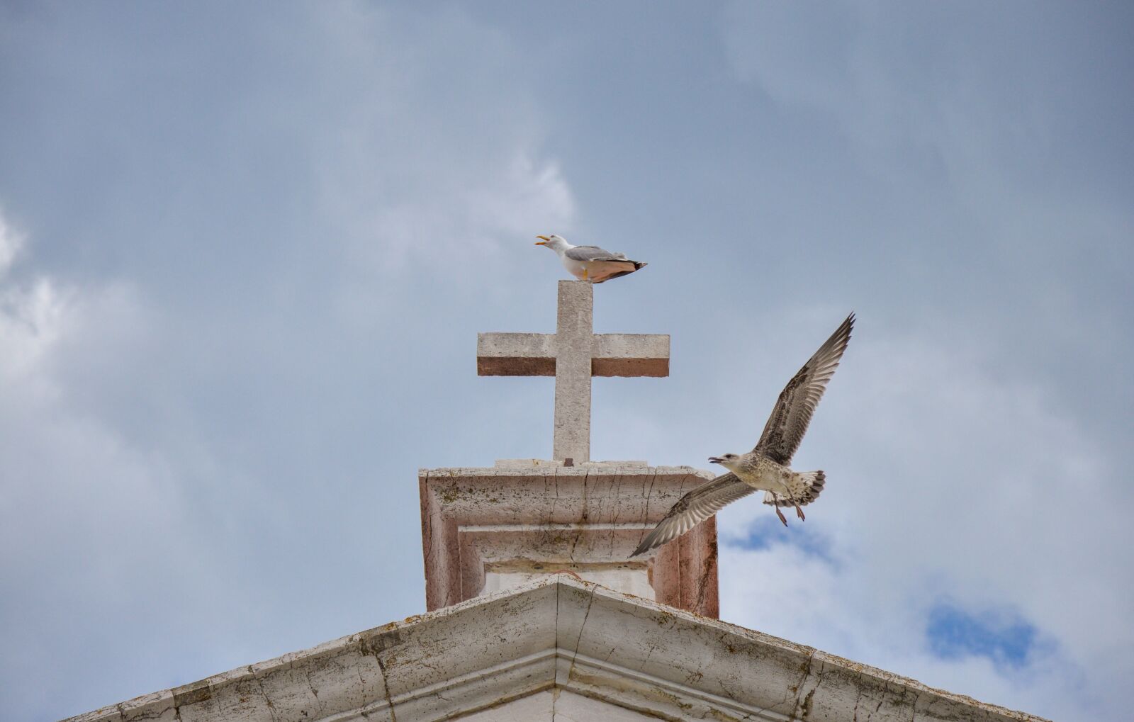 Nikon D3200 sample photo. Cross, gull, chapel photography