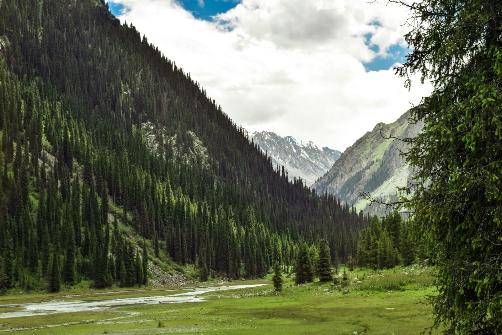 Nikon D5300 sample photo. Mountains, tianshan, snow photography
