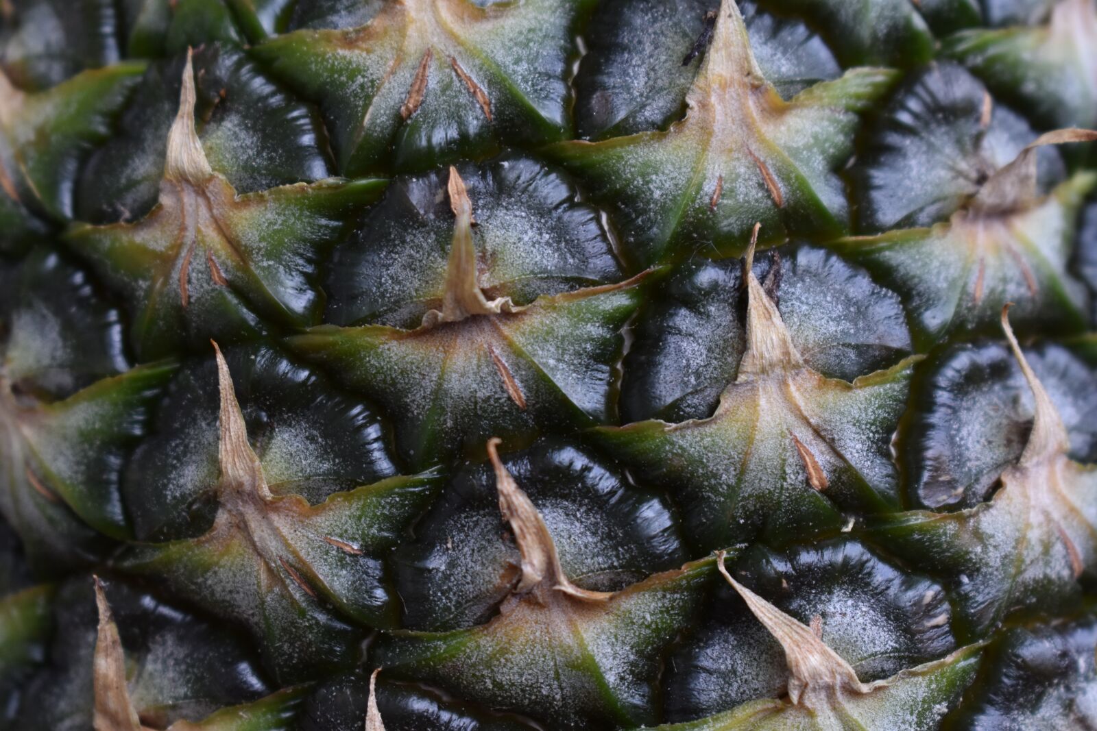 Nikon D3400 sample photo. Pineapple, fruit photography