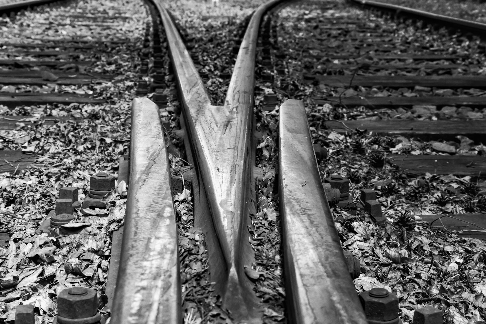 Canon EOS 700D (EOS Rebel T5i / EOS Kiss X7i) sample photo. Railroad tracks, fork, soft photography