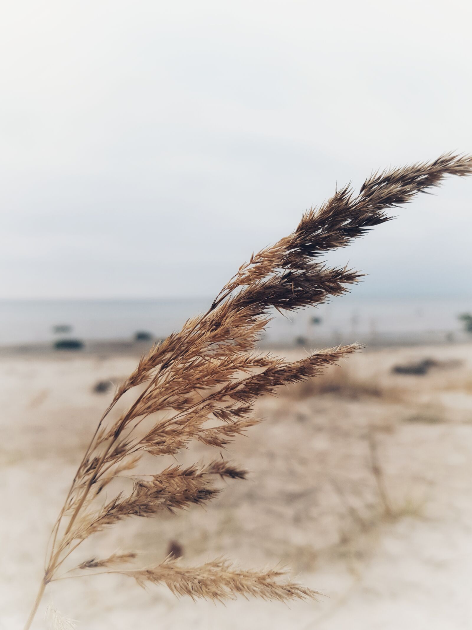 Samsung Galaxy S8 sample photo. Nature, sea, sky photography