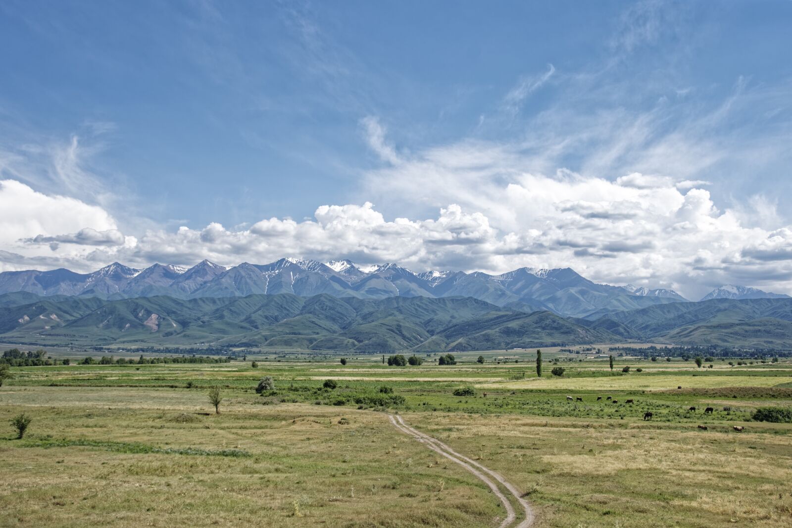 Nikon D500 sample photo. Kyrgyzstan, mountains, tian shan photography