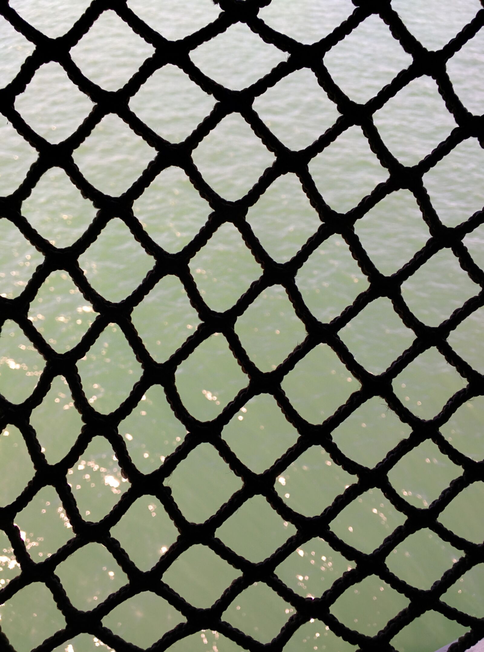 Motorola Nexus 6 sample photo. Net, web, knots photography