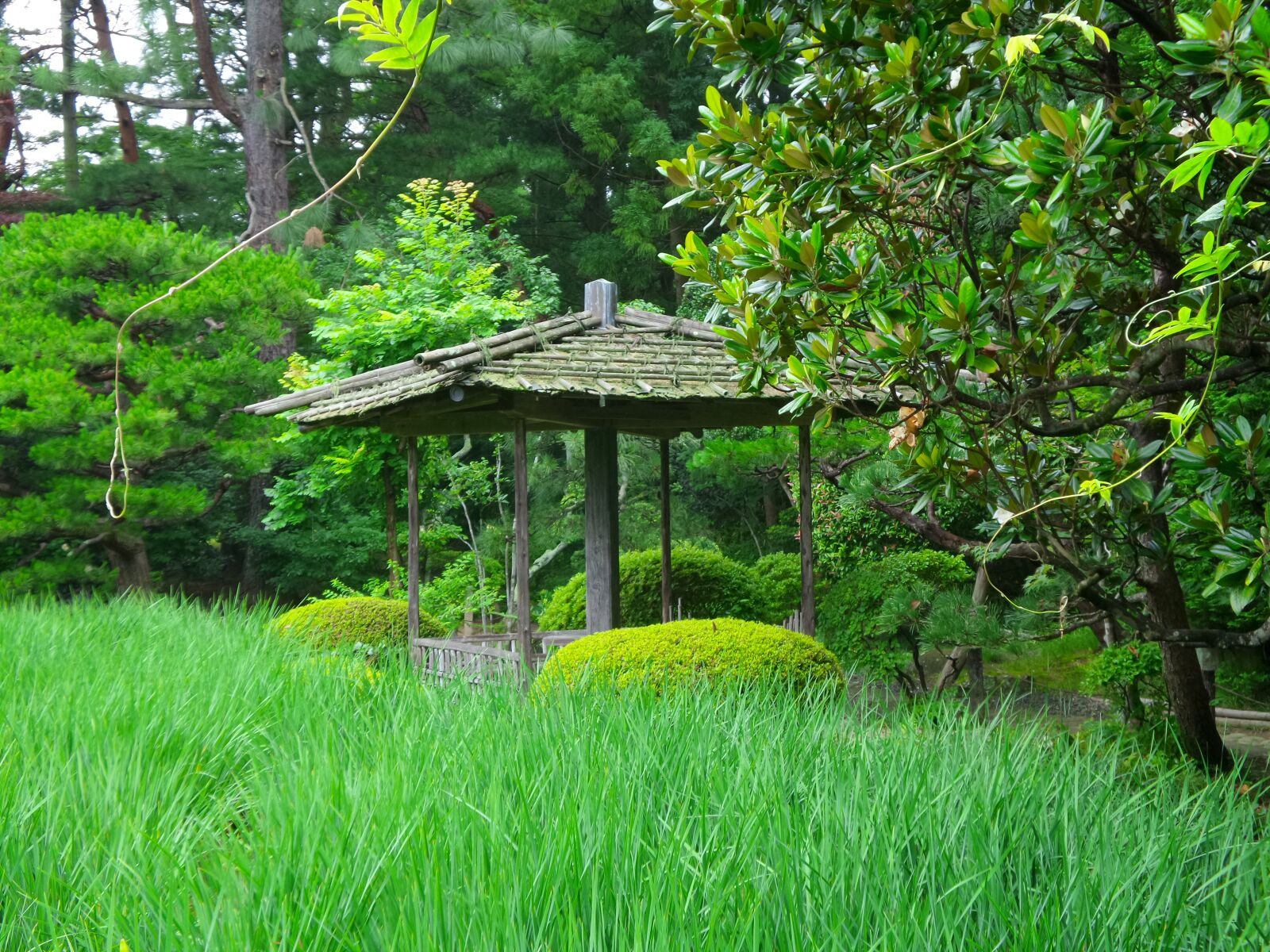 Samsung Galaxy K Zoom sample photo. Japan, garden, shelter photography
