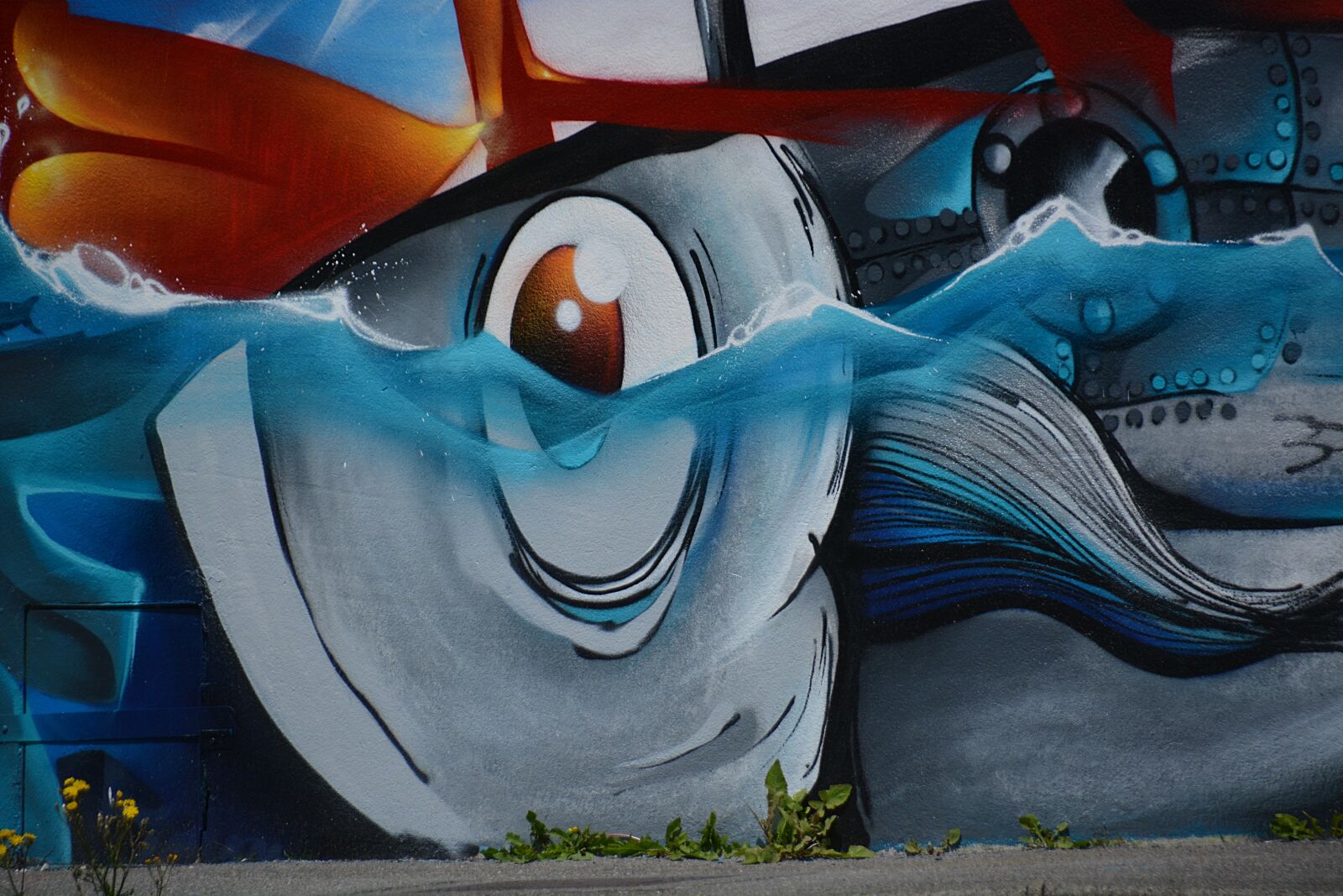 Nikon D5200 sample photo. Tag, eye, fresco photography