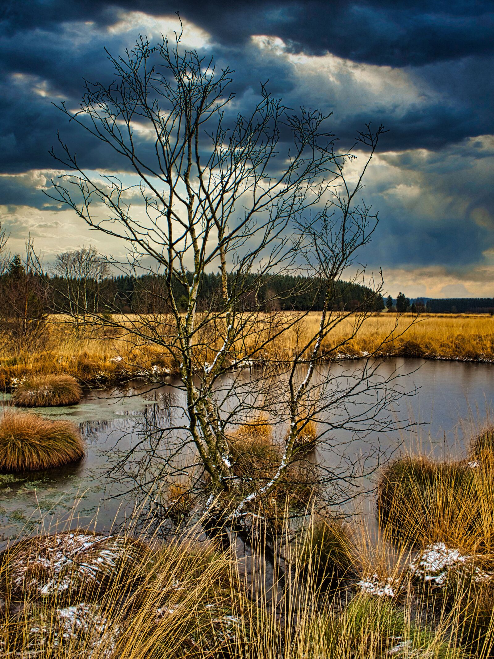 Olympus OM-D E-M10 III sample photo. Eifel, venn, winter photography