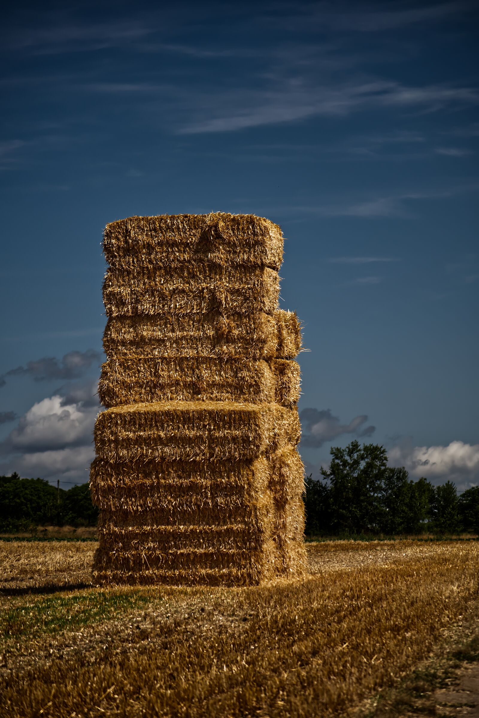 Nikon D5500 sample photo. Straw, bale, straw bales photography