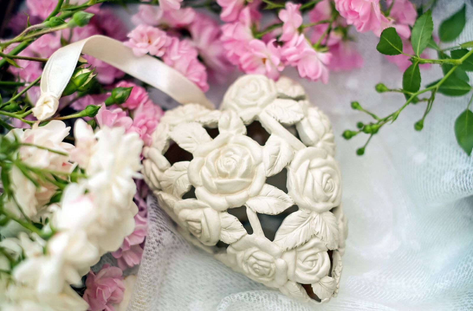 Fujifilm X-T10 + Fujifilm XF 35mm F1.4 R sample photo. Heart, rose heart, rose photography