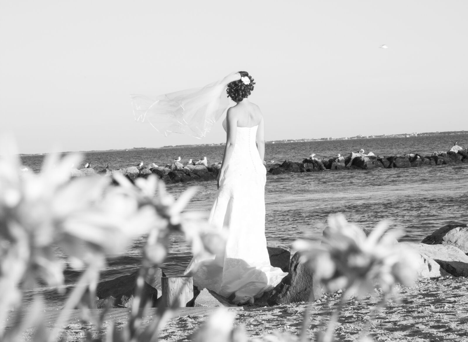 Canon EOS 5D Mark II sample photo. Alone, beach, bride, veil photography