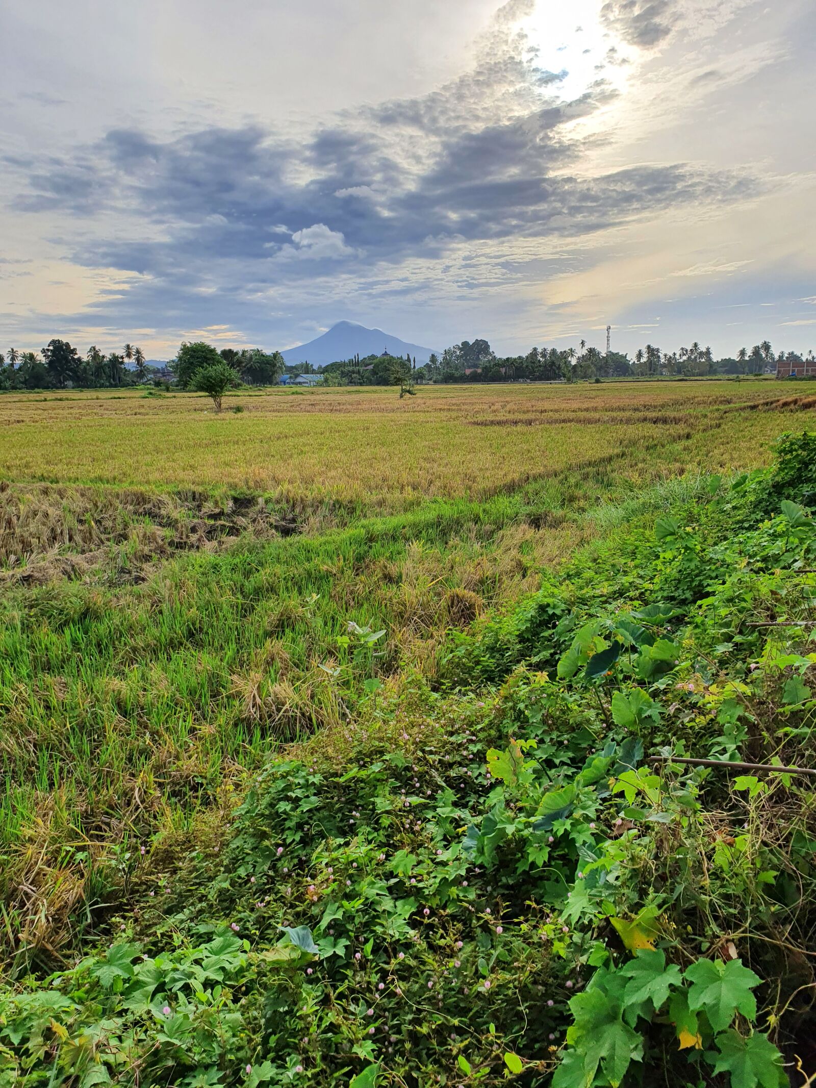 Samsung SM-G975F sample photo. Nature, cloud, mountain grass photography