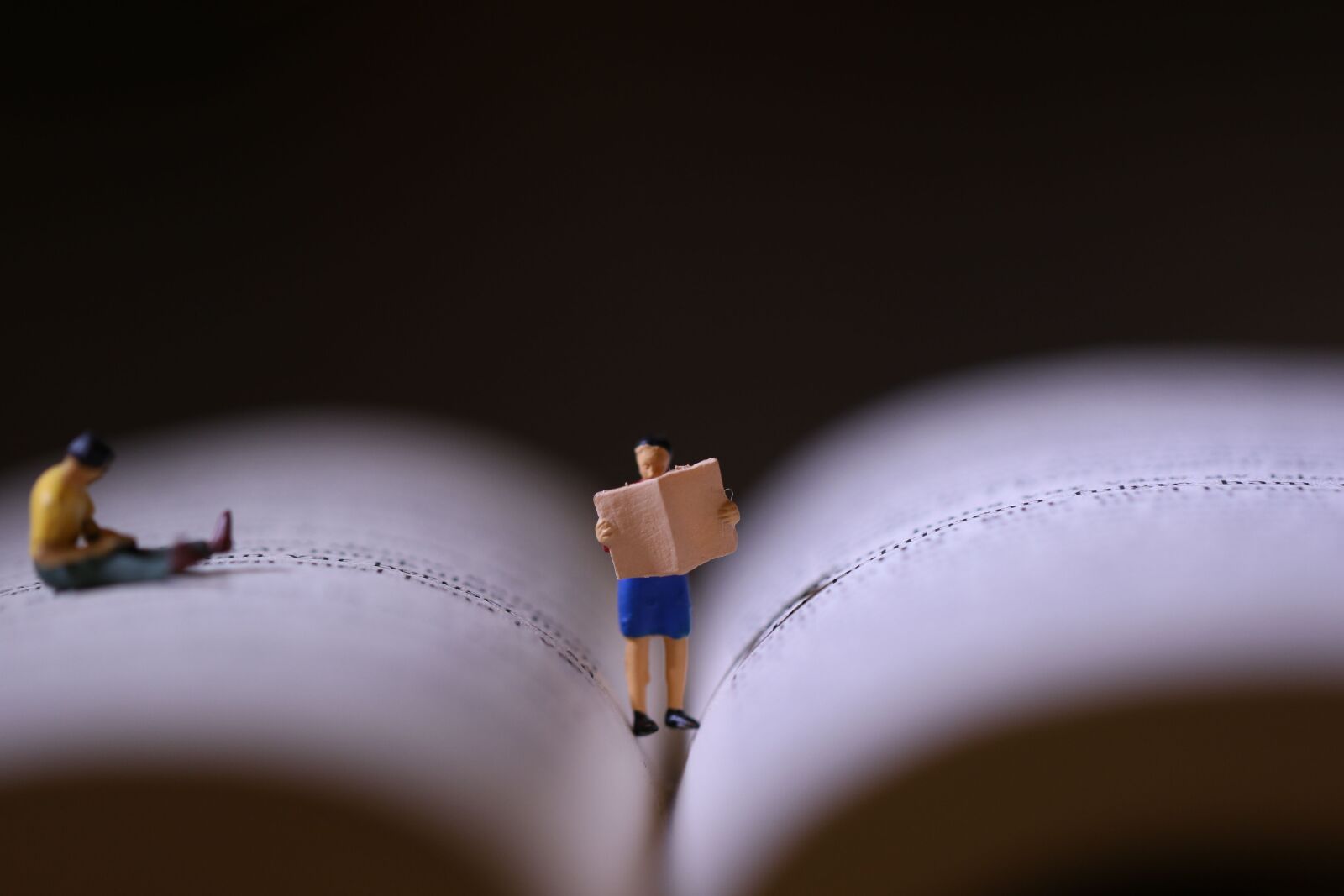 Canon EOS 7D Mark II sample photo. Book, miniature, reading photography
