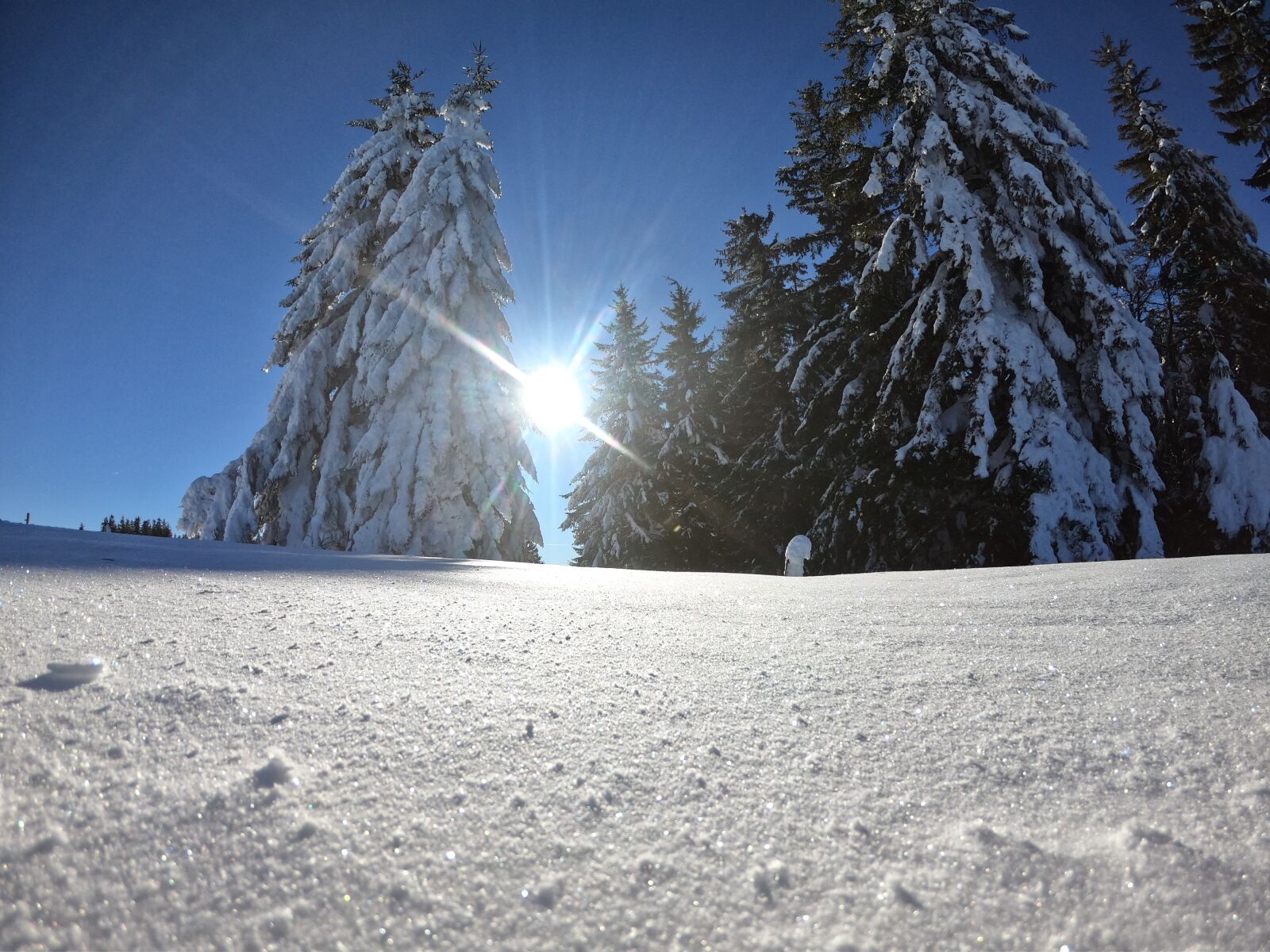 GoPro Hero7 Black sample photo. Snow, sun, winter photography