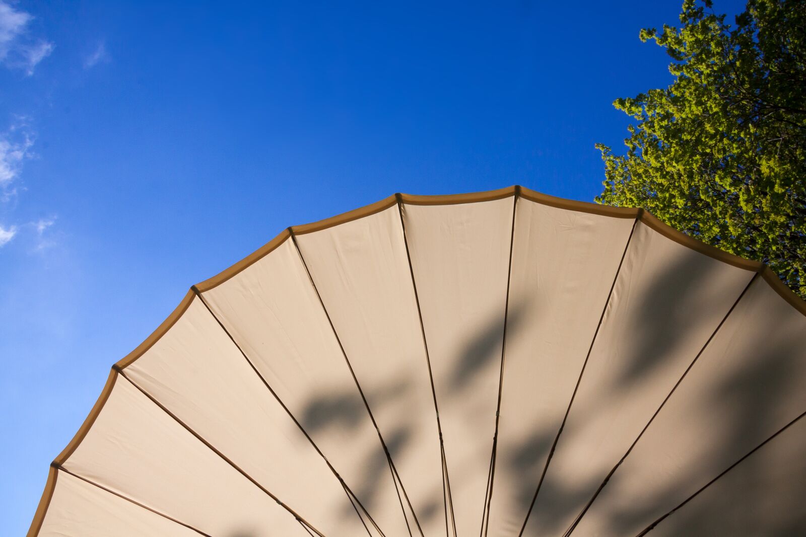 Canon EF-S 17-85mm F4-5.6 IS USM sample photo. Parasol, screen, sun photography