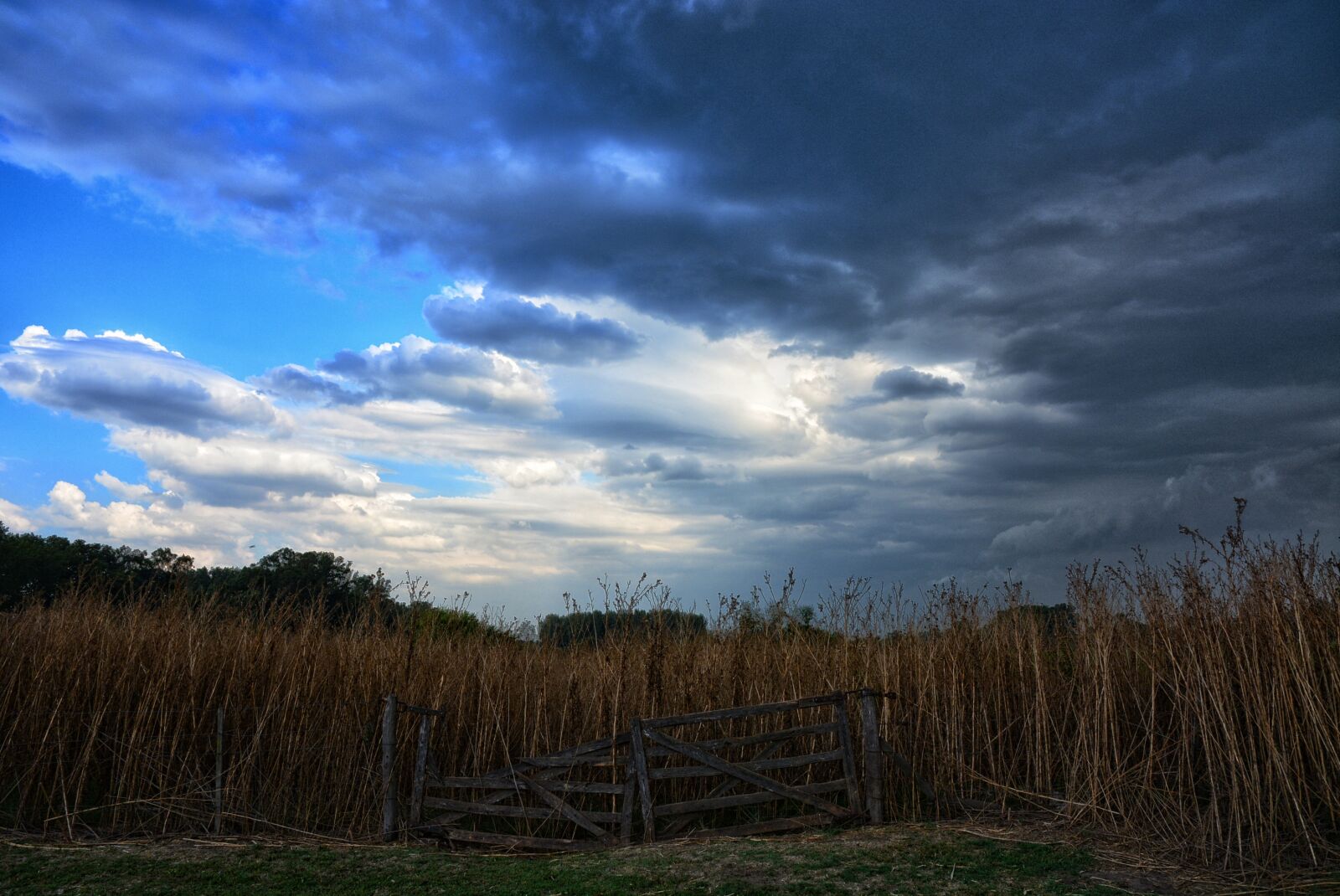 Nikon D5200 sample photo. Landscape, sky, nature photography