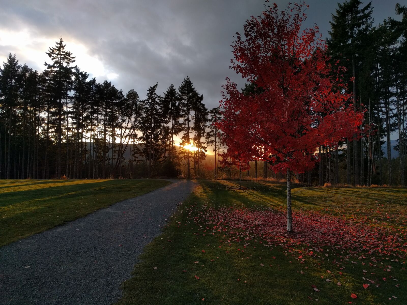 Google Nexus 6P sample photo. Shawnigan lake, vancouver island photography