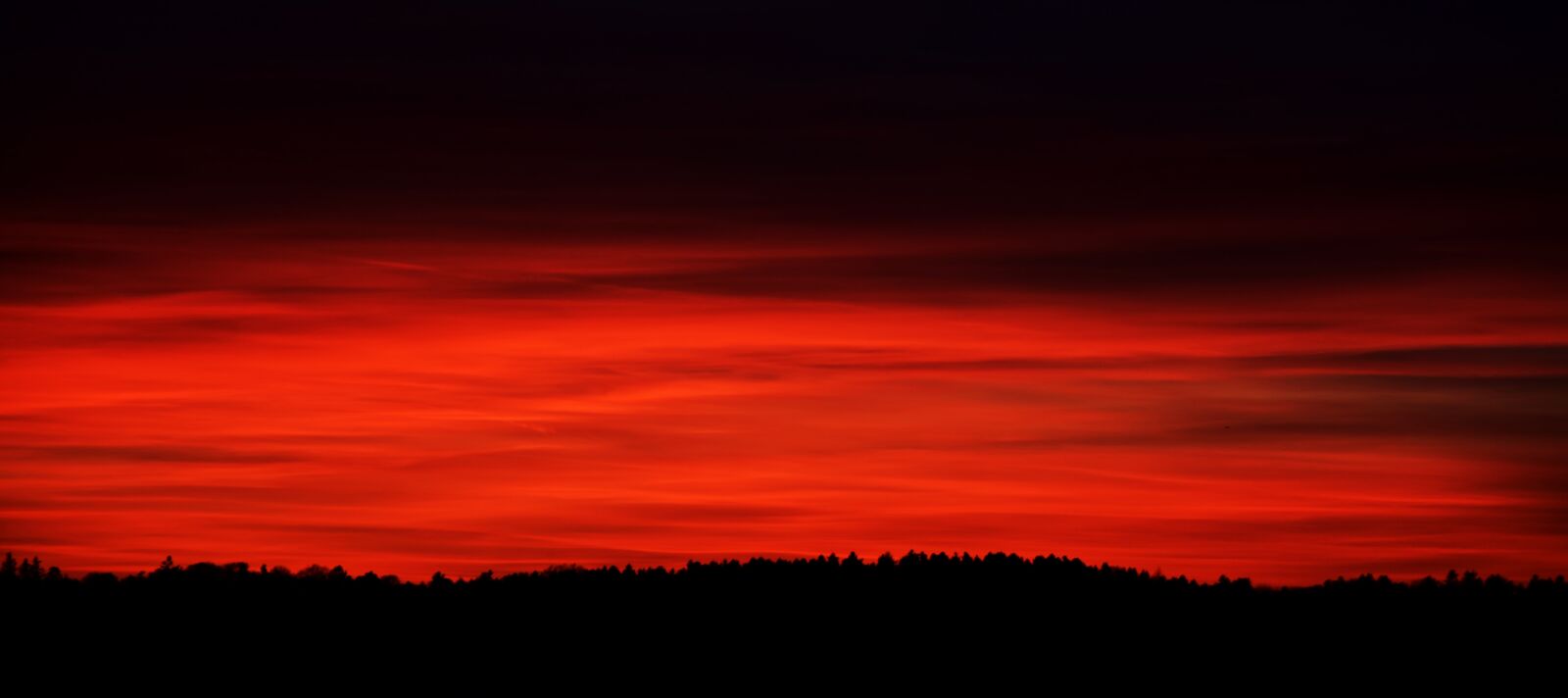 Nikon D7200 sample photo. Sunset, nature, dawn photography