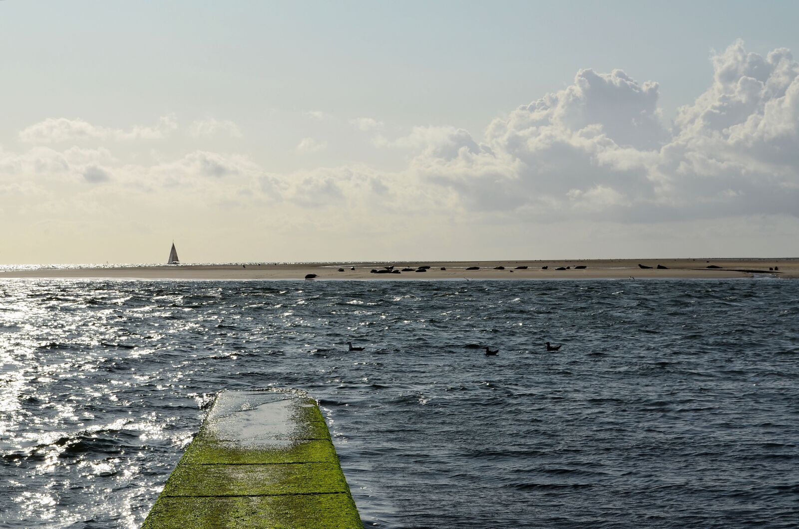 Nikon D5100 sample photo. Borkum, seal benches, sailing photography