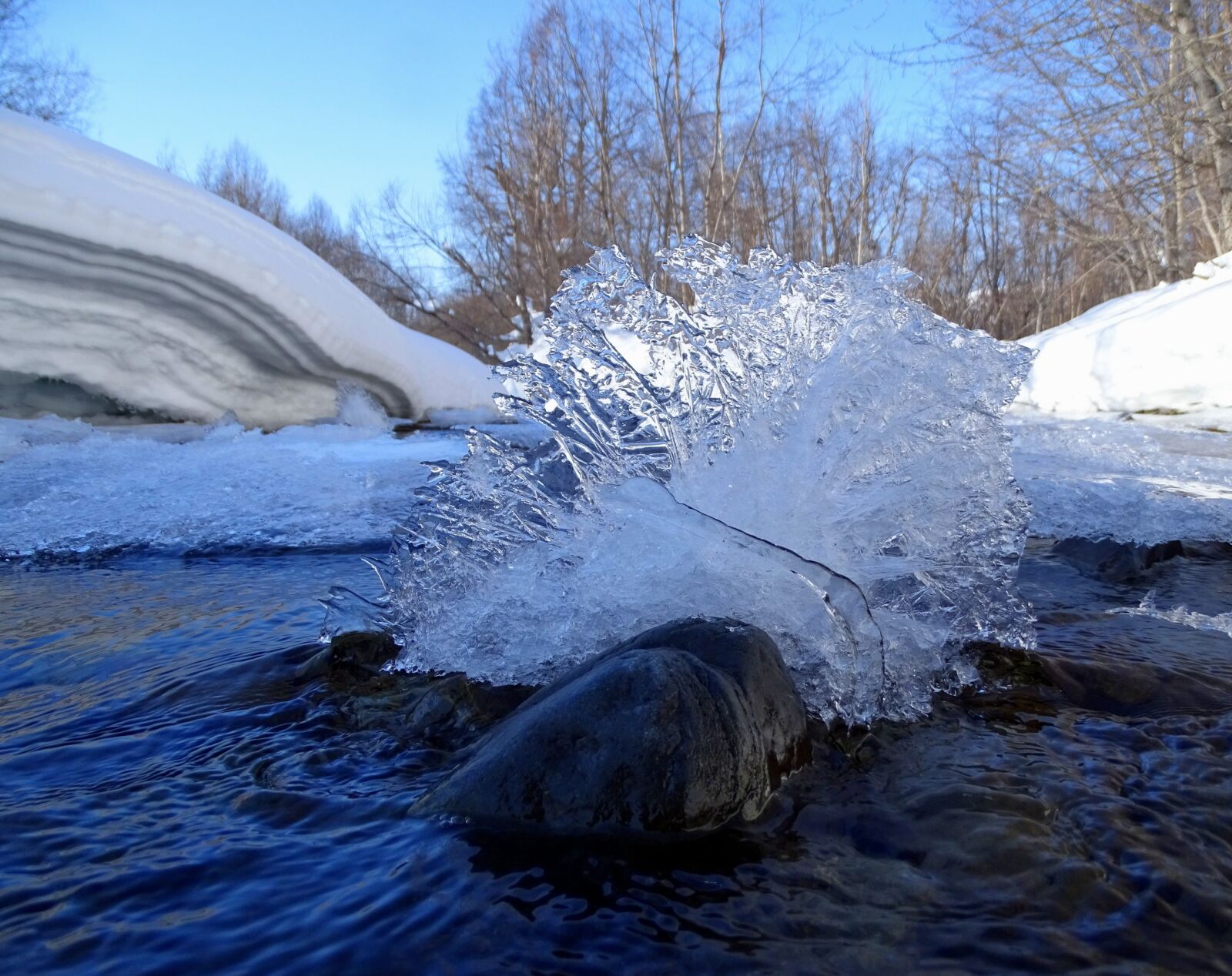 Sony DSC-HX400 sample photo. River, forest, winter photography