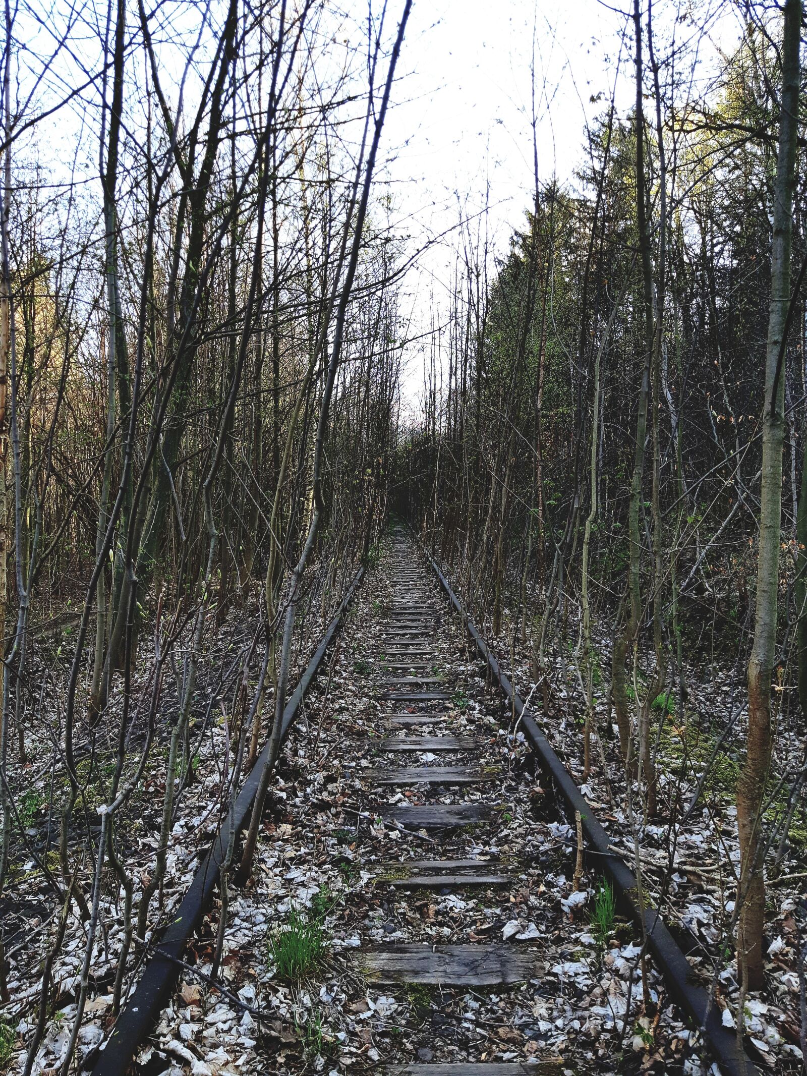 Samsung Galaxy A8(2018) sample photo. Railway, forest, dep photography