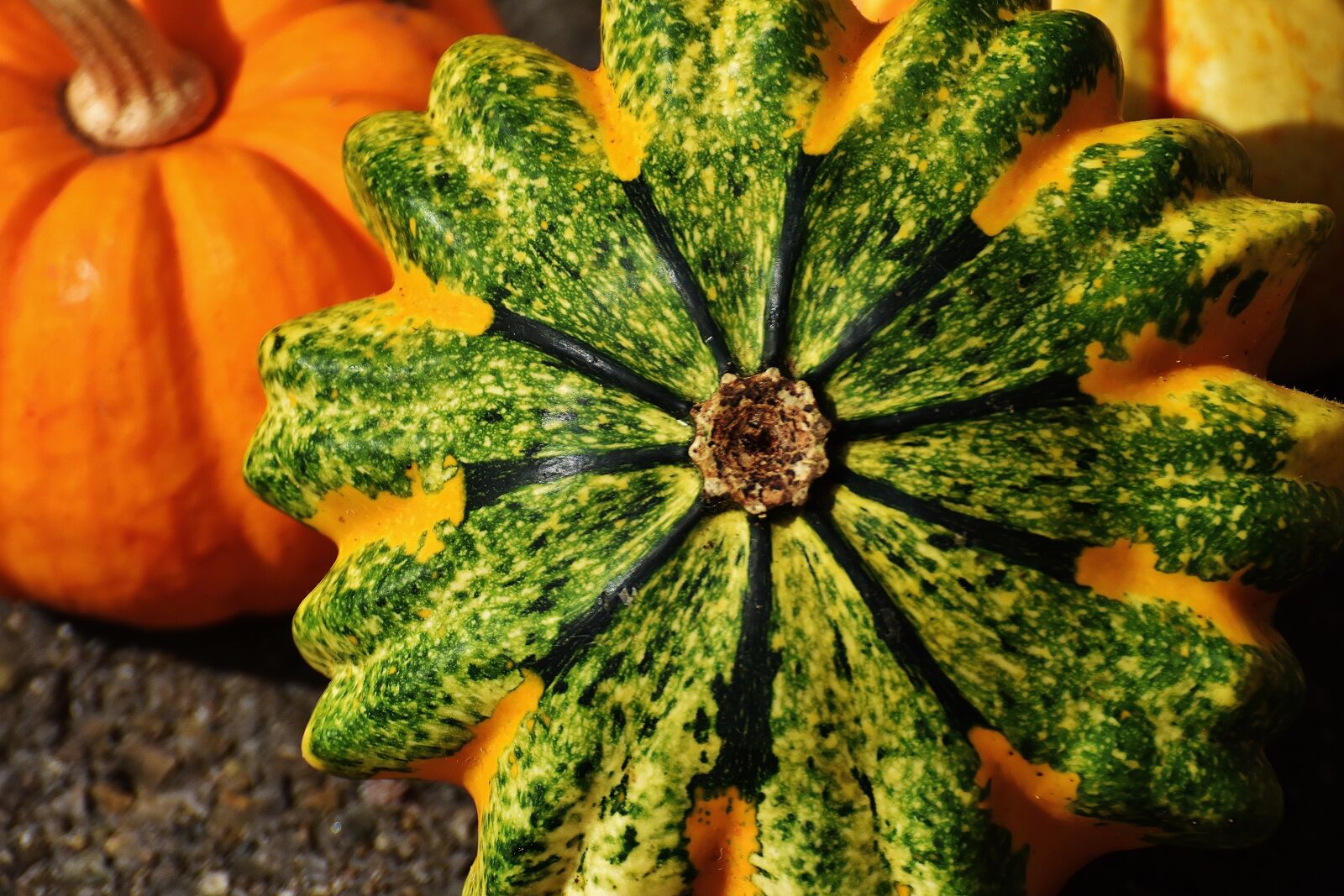 Nikon D7200 sample photo. Pumpkins, decorative squashes, nature photography