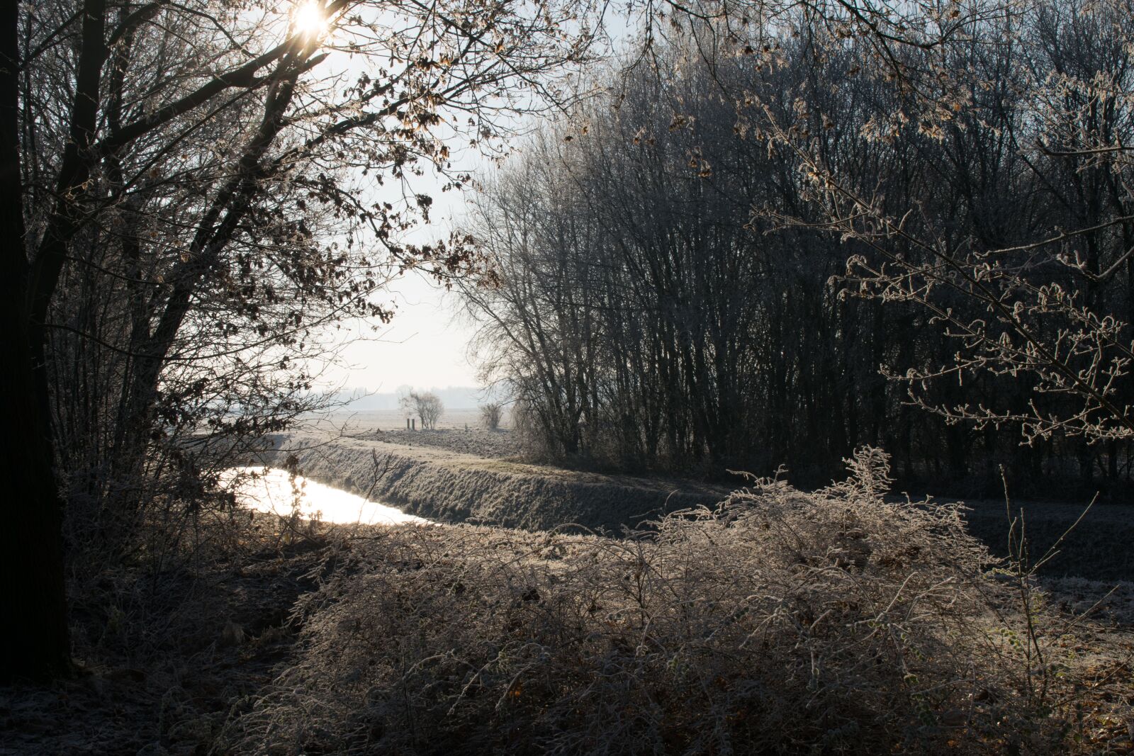 Nikon D3300 sample photo. Water, ice, winter photography
