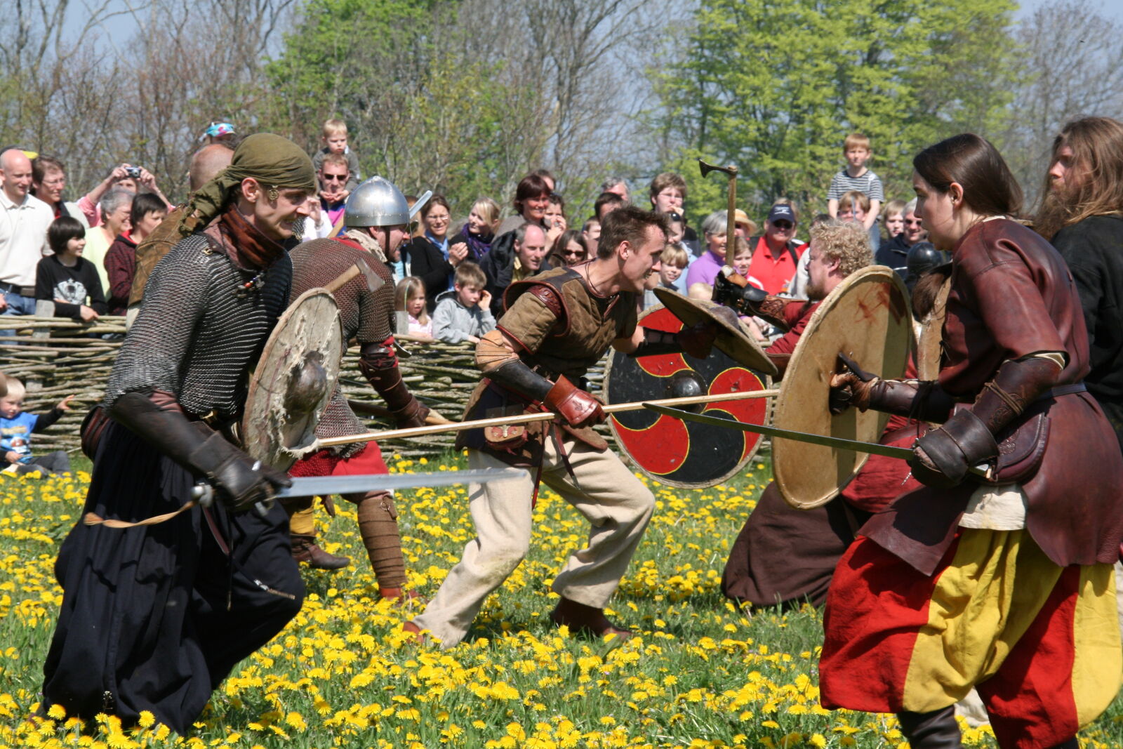 Sigma 18-200mm f/3.5-6.3 DC OS sample photo. Vikings photography