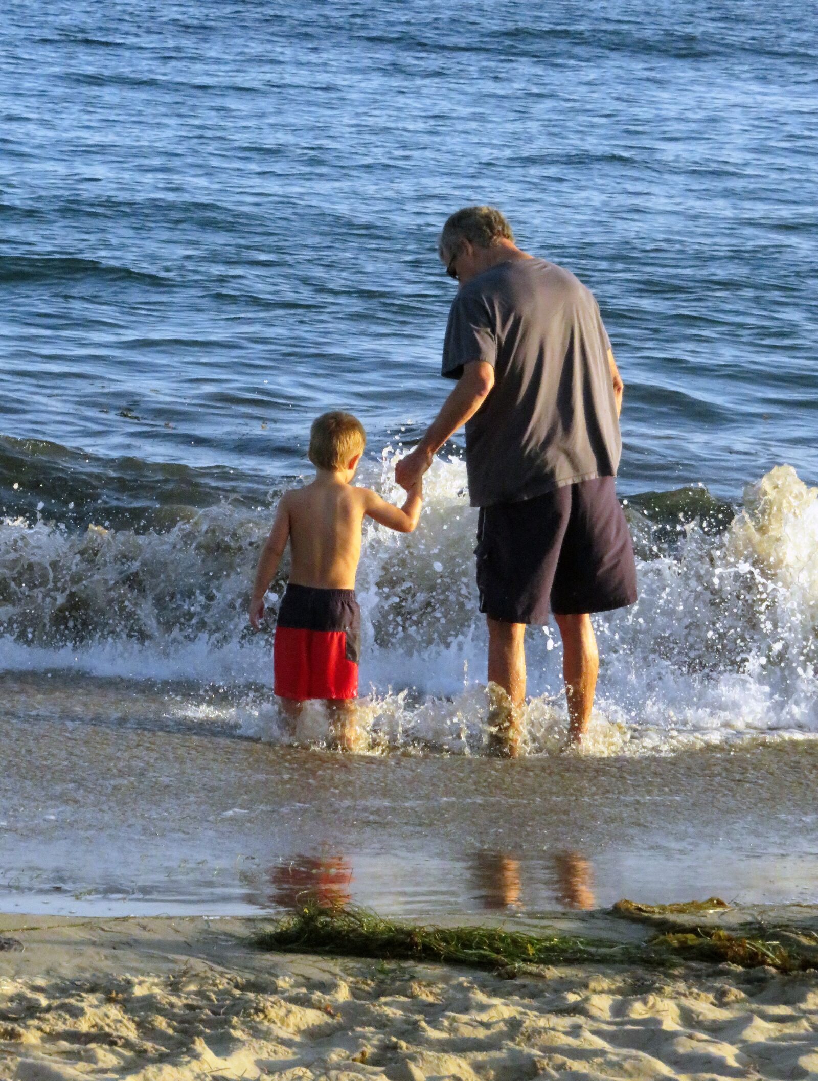 Canon PowerShot SX710 HS sample photo. Grandpa, beach, grandson photography