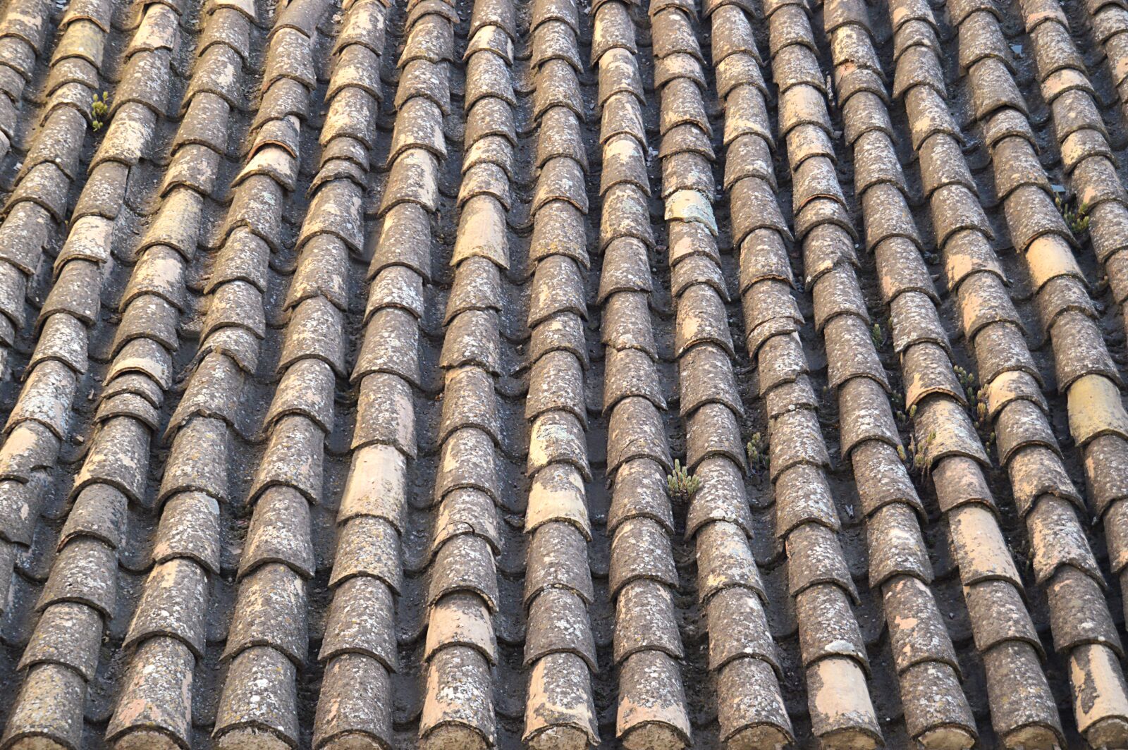 Nikon D3200 sample photo. Texas, clay tiles, roof photography