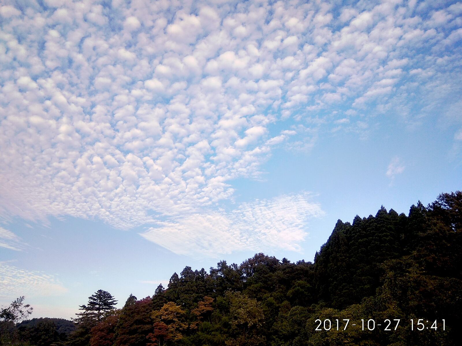 Xiaomi Redmi Note 4 sample photo