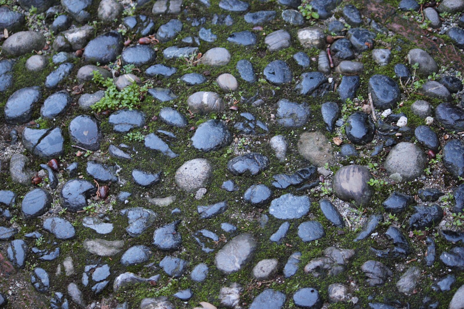 Canon EOS 550D (EOS Rebel T2i / EOS Kiss X4) sample photo. Rocks, background, texture photography