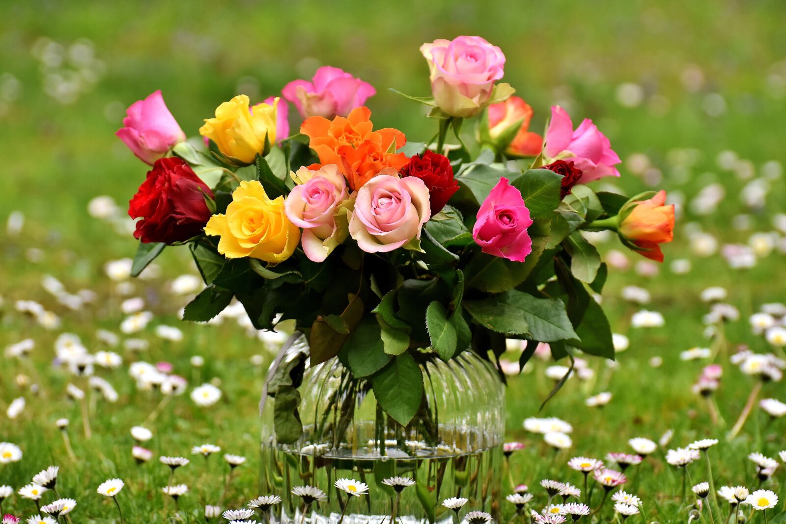 Nikon D7200 sample photo. Roses, bouquet, flowers photography