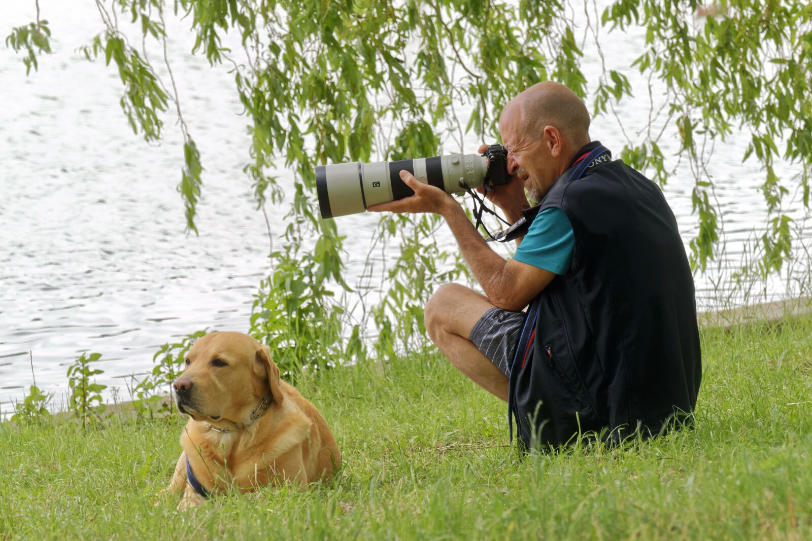 Nikon D5300 sample photo. Man, the person, photographer photography