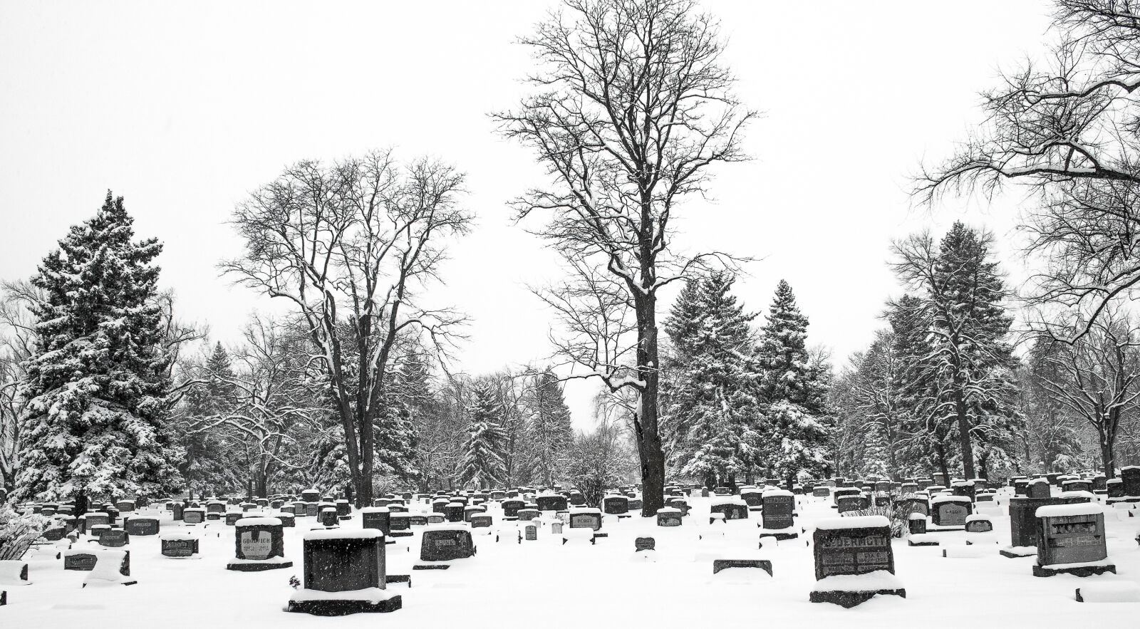 Nikon D5000 sample photo. Black, and, white, cemetery photography