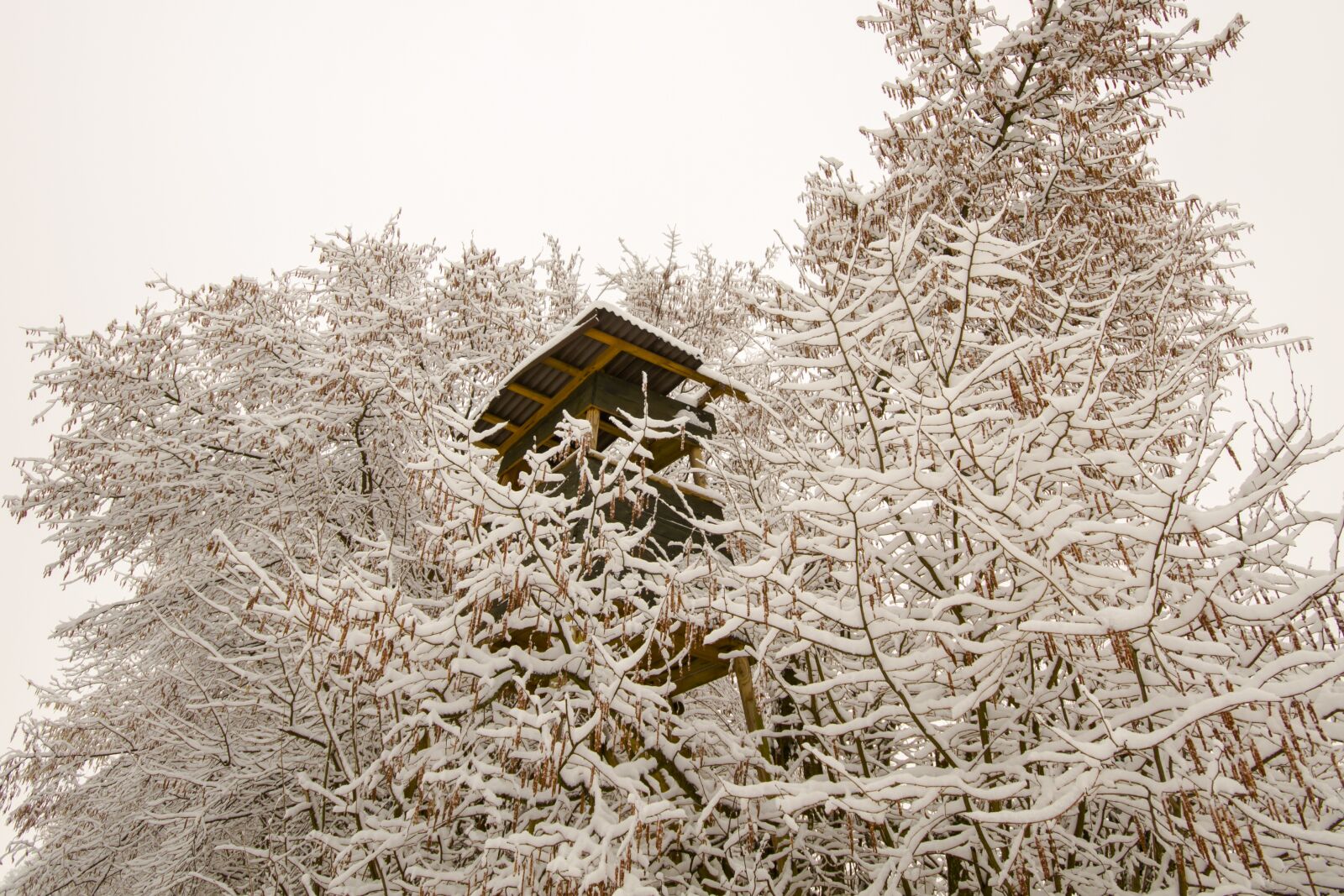 Canon EOS 7D sample photo. Ansitz, hunting seat, hunter photography