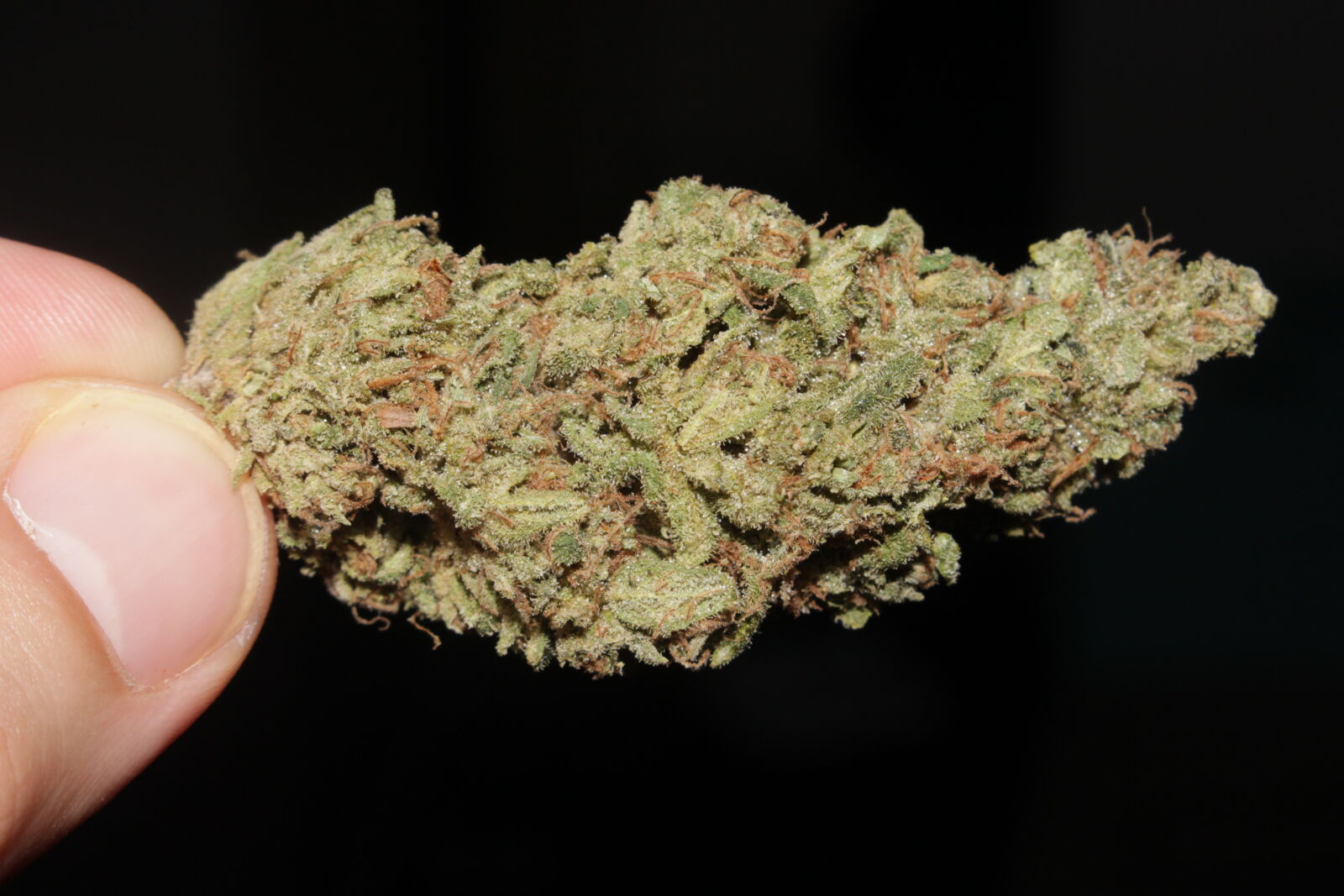 Canon EOS 700D (EOS Rebel T5i / EOS Kiss X7i) sample photo. 420, 710, buds, cannabis photography