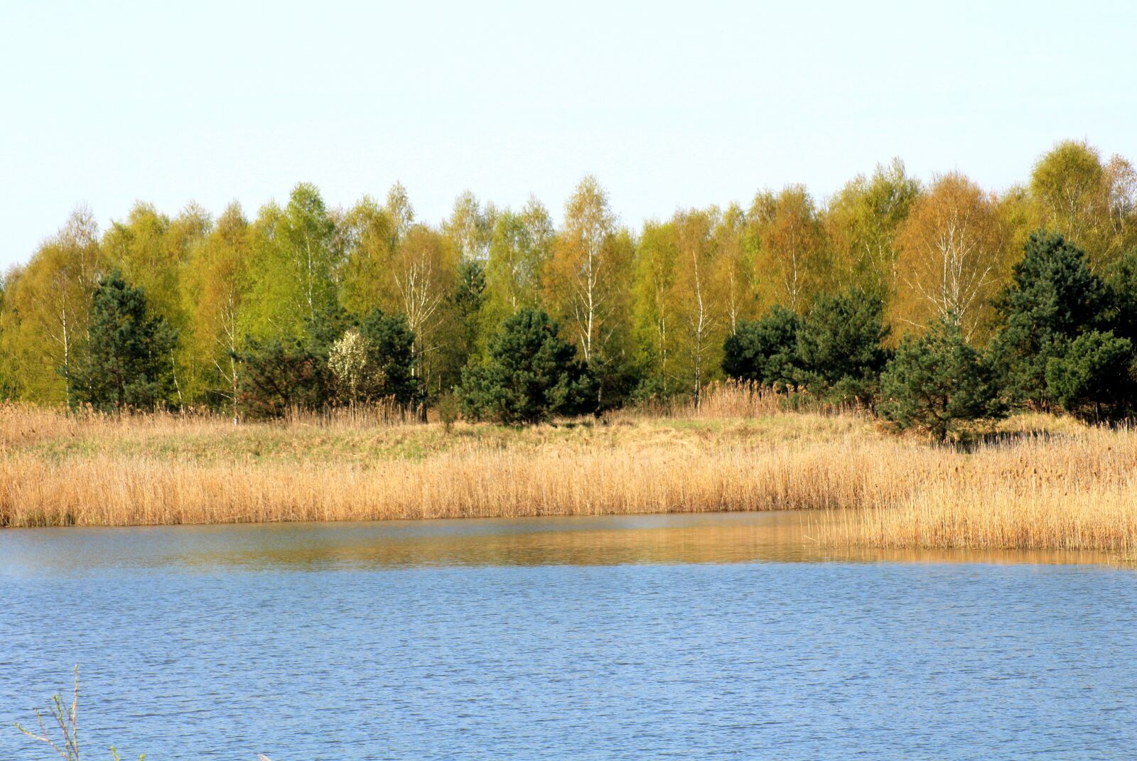Canon EOS 1200D (EOS Rebel T5 / EOS Kiss X70 / EOS Hi) sample photo. Spring, landscape, lagoon photography
