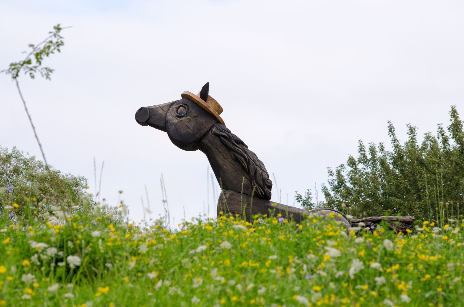 Nikon D5100 sample photo. Artwork, wood, horse photography