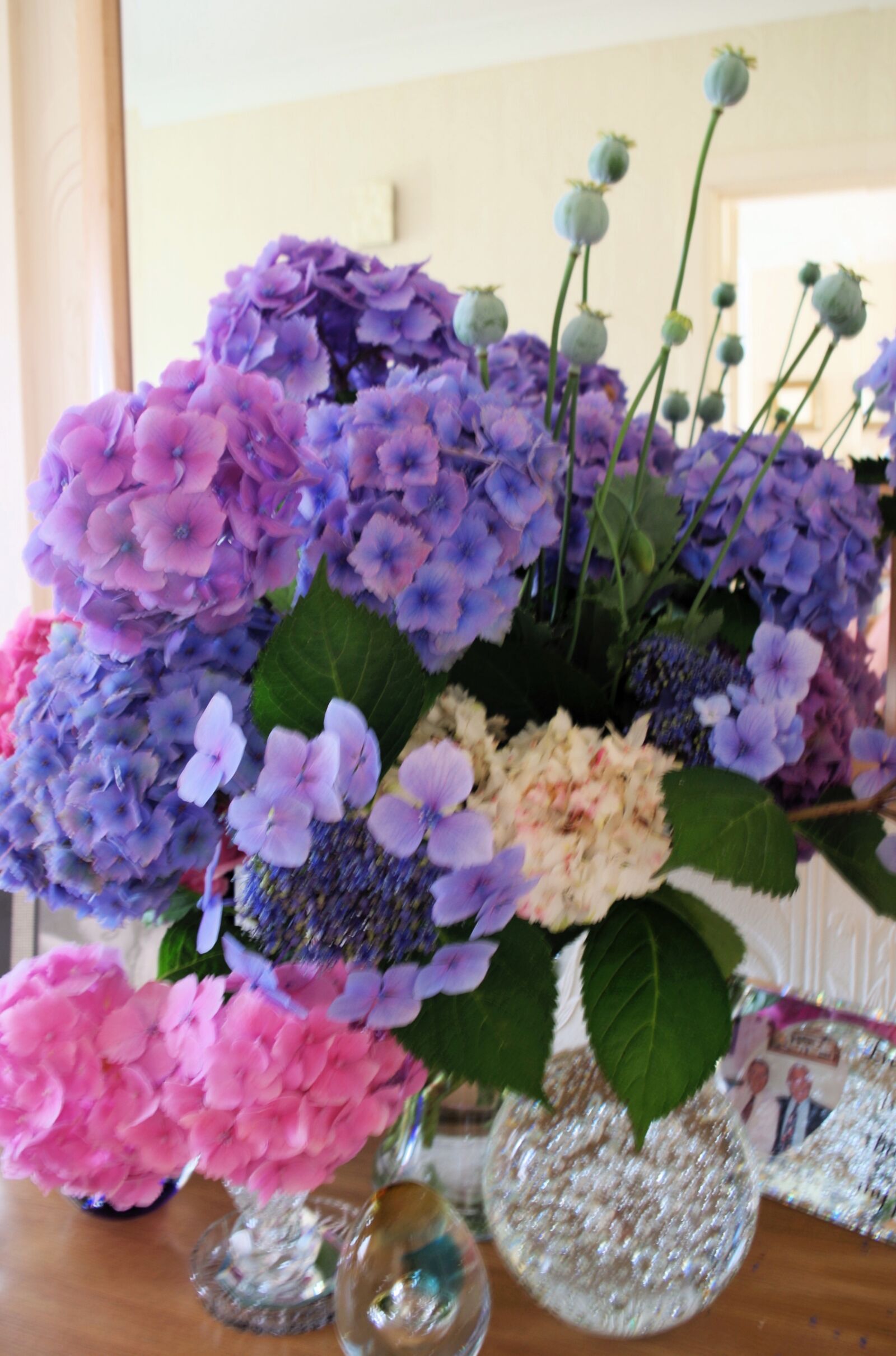 Pentax K-30 sample photo. Hydrangeas, flowers, floral photography