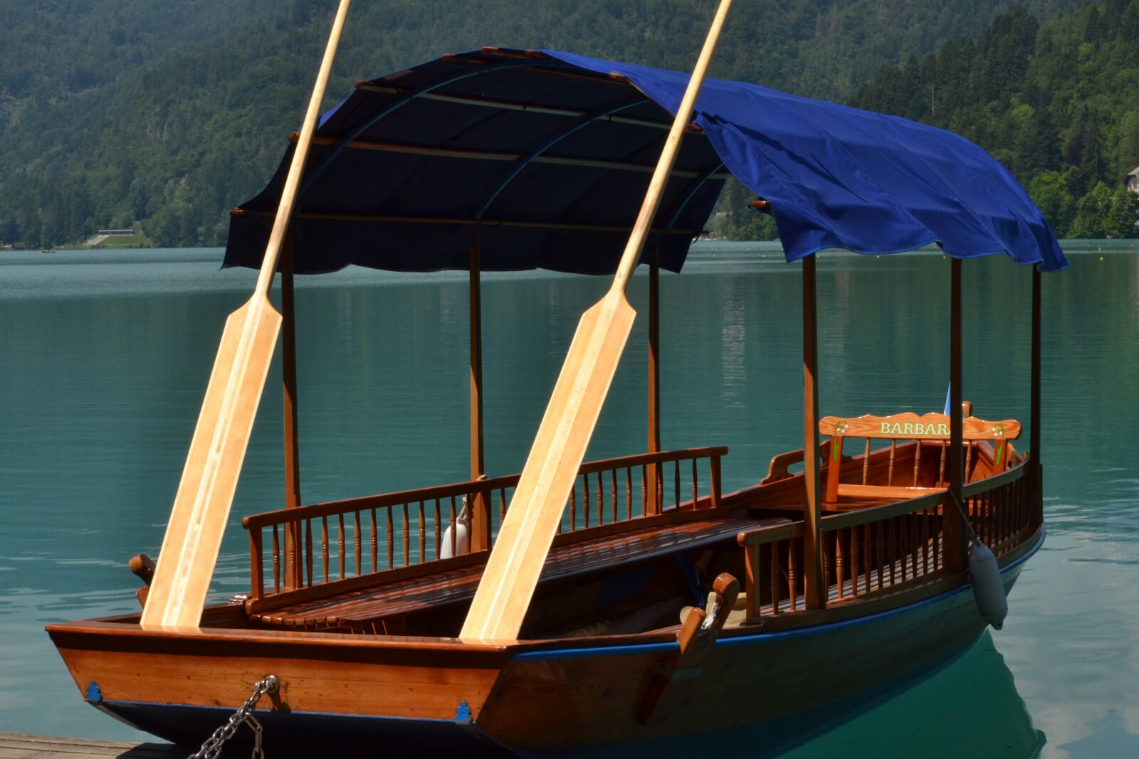 Nikon D3100 sample photo. Boat, lake, bled photography