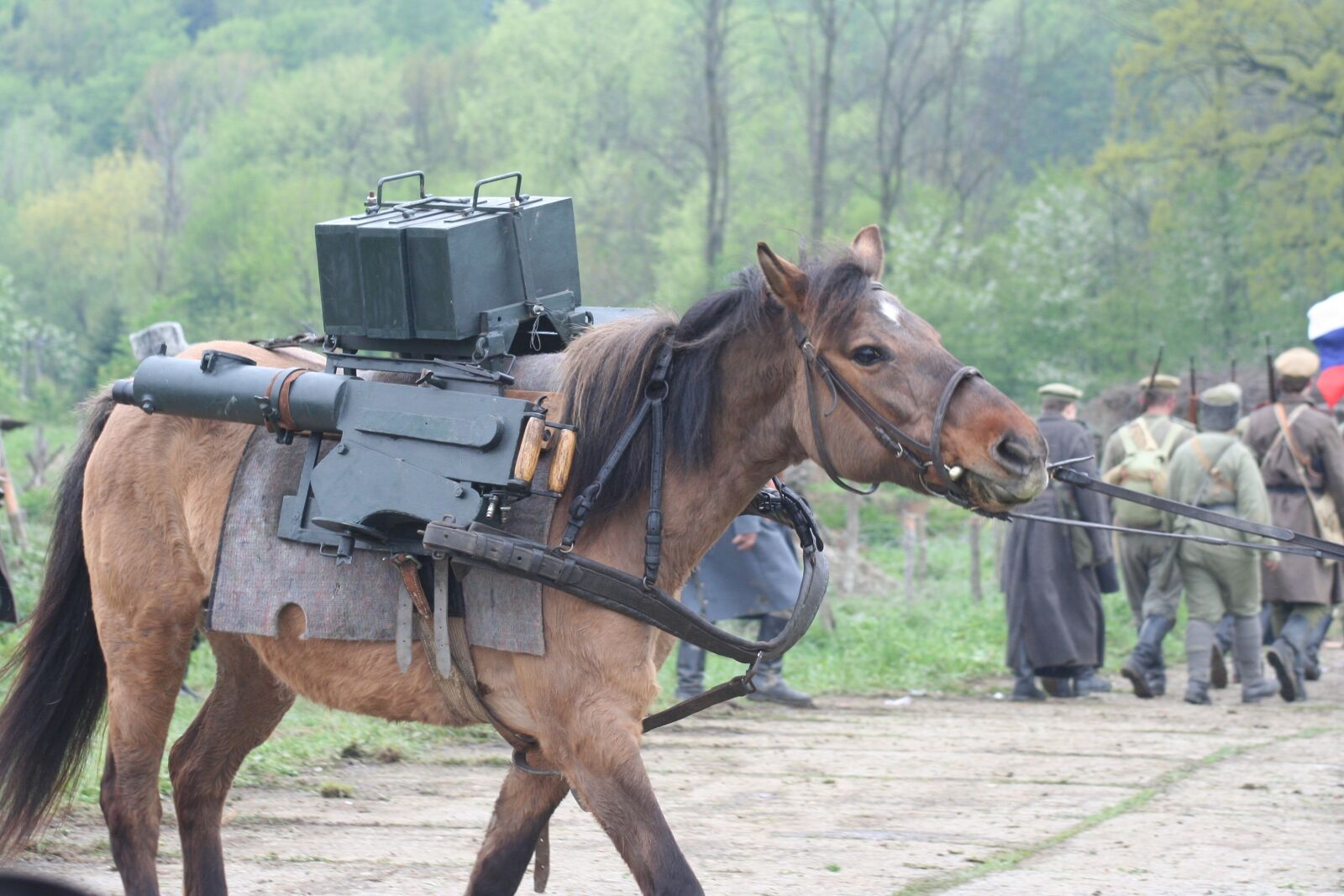 Canon EOS 350D (EOS Digital Rebel XT / EOS Kiss Digital N) sample photo. The horse, the war photography