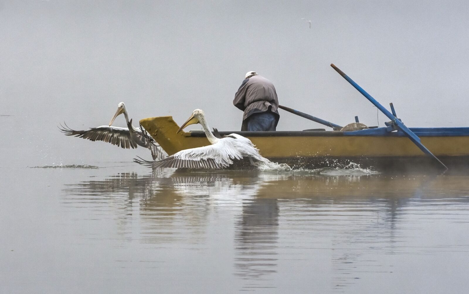 Nikon D7200 sample photo. Fog, boat, sky photography