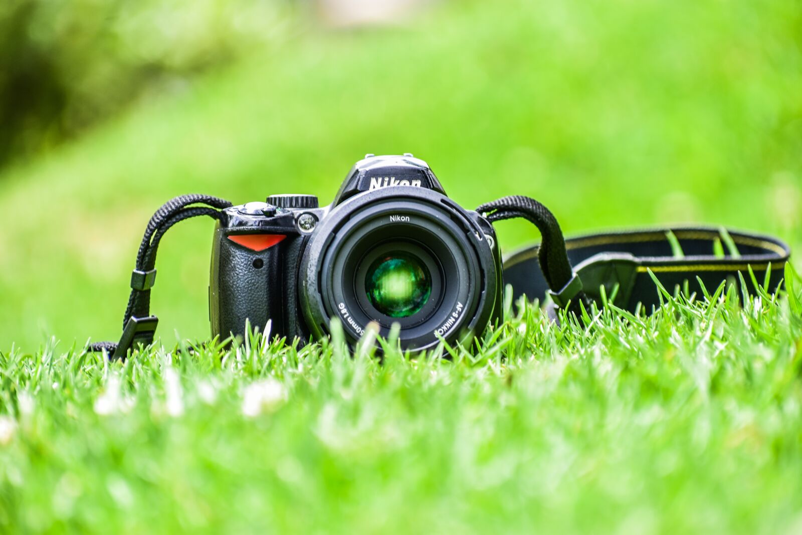 Nikon D3400 sample photo. Camera, grass, lens photography